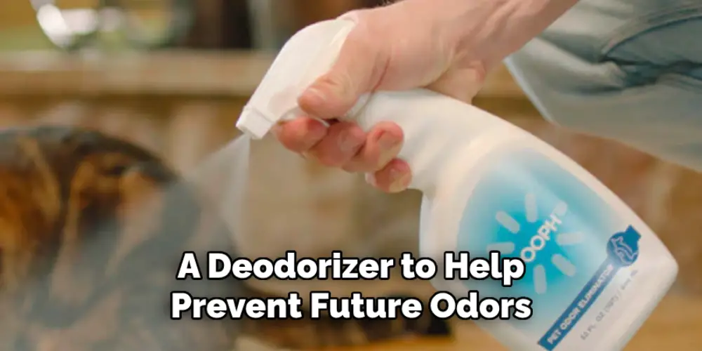 A Deodorizer to Help Prevent Future Odors