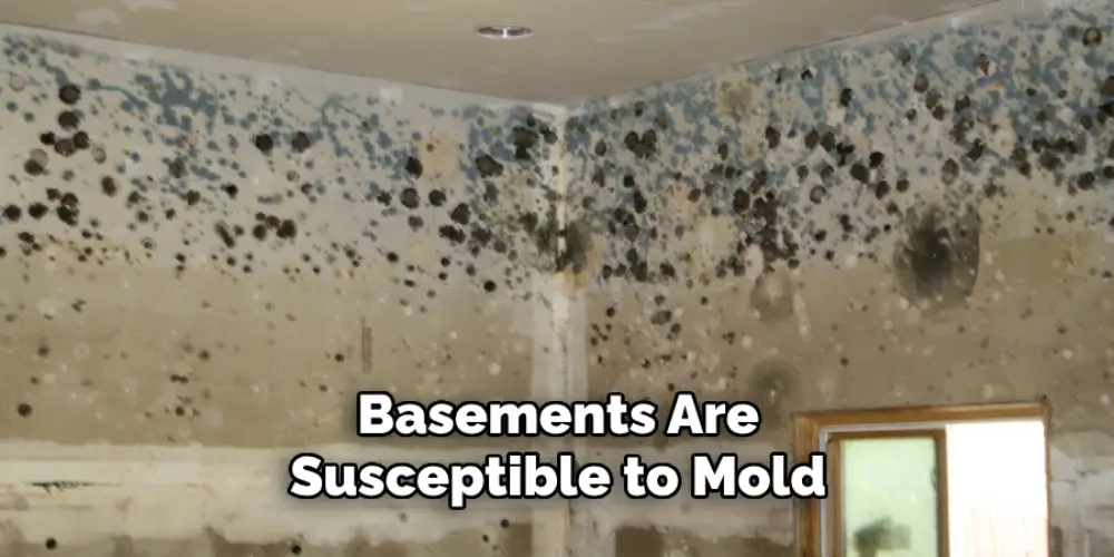 Basements Are Susceptible to Mold