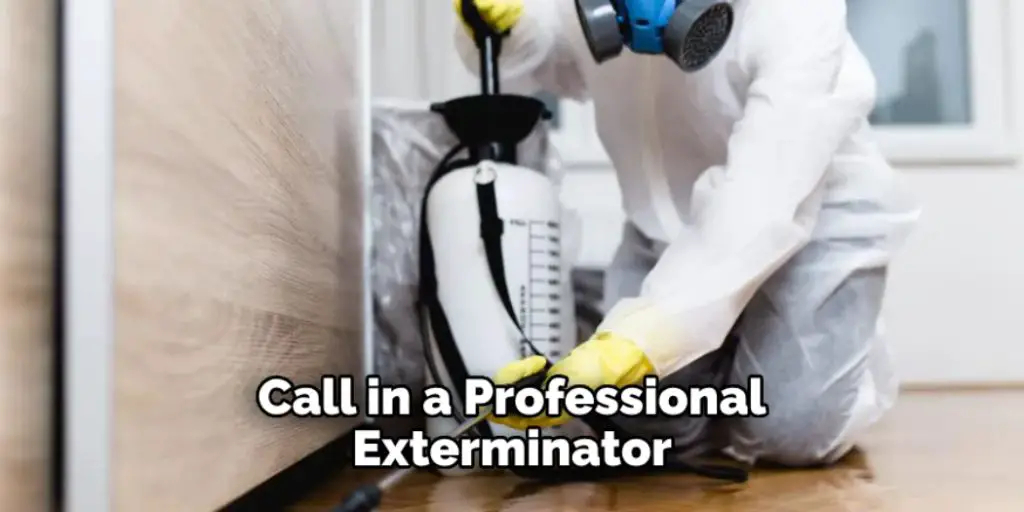 Call in a Professional Exterminator