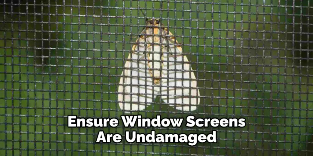 Ensure Window Screens Are Undamaged