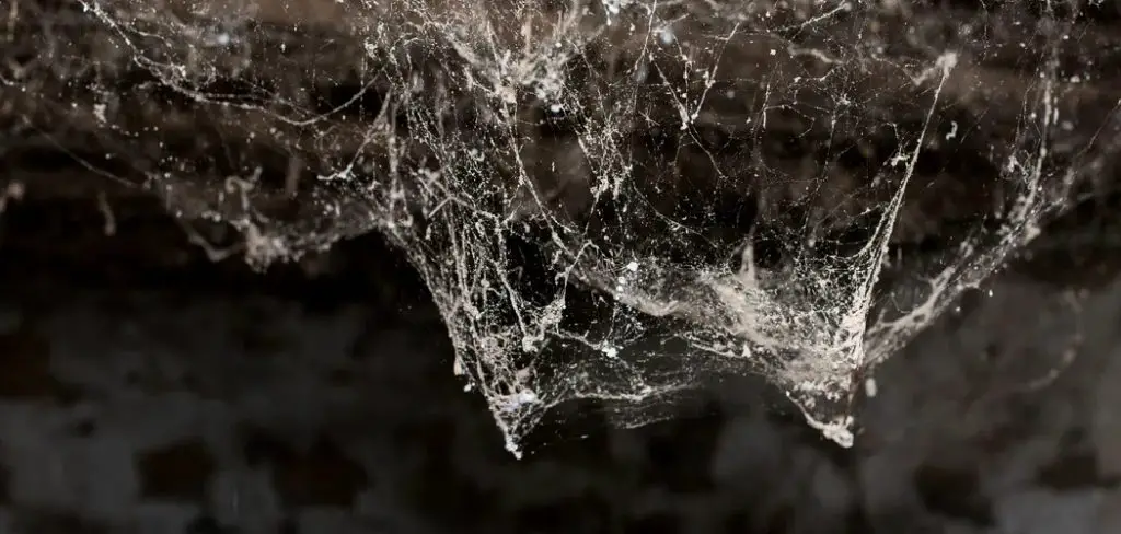 How to Keep Cobwebs Out of Basement