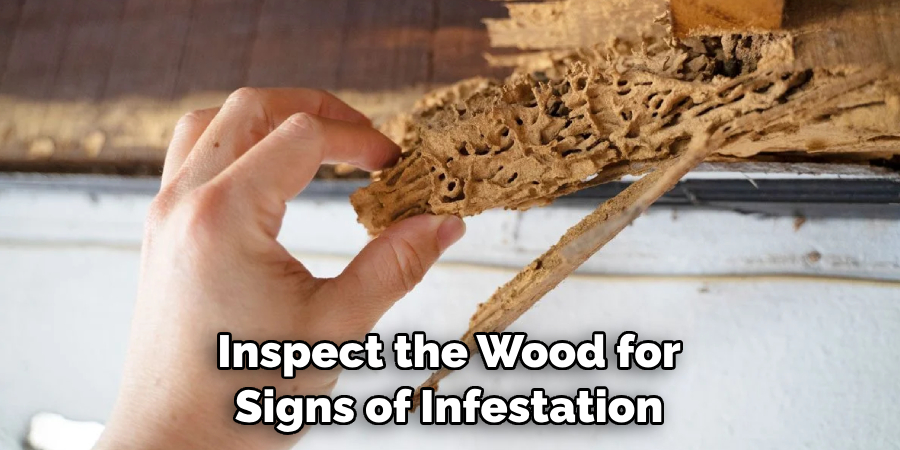Inspect the Wood for Signs of Infestation