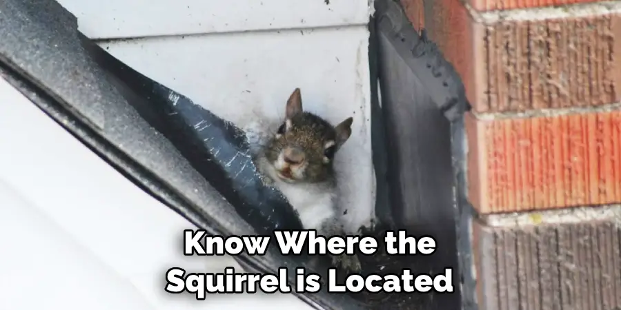 Know Where the Squirrel is Located