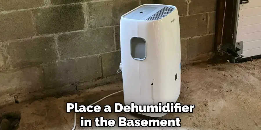 Place a Dehumidifier in the Basement