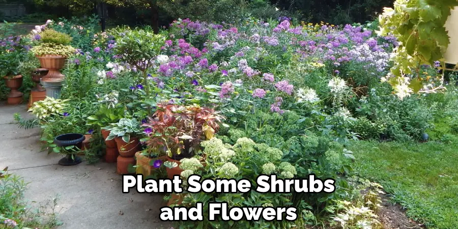 Plant Some Shrubs and Flowers