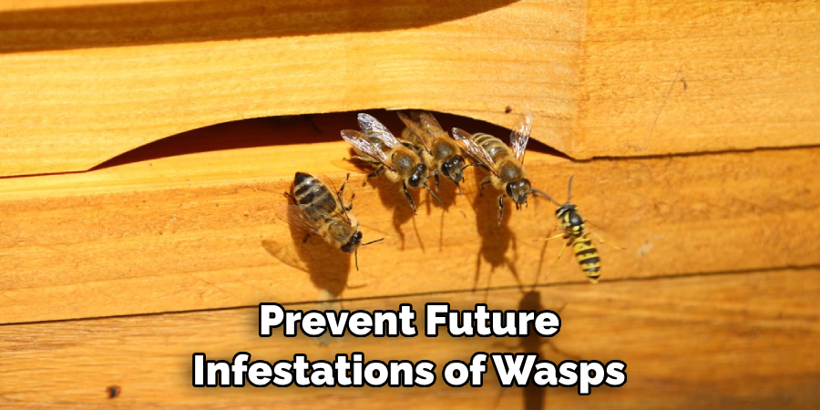 Prevent Future Infestations of Wasps