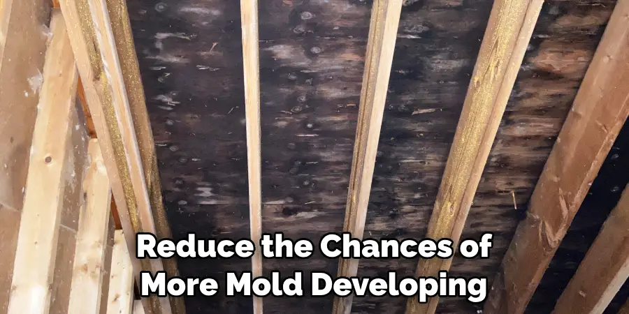 Reduce the Chances of More Mold Developing