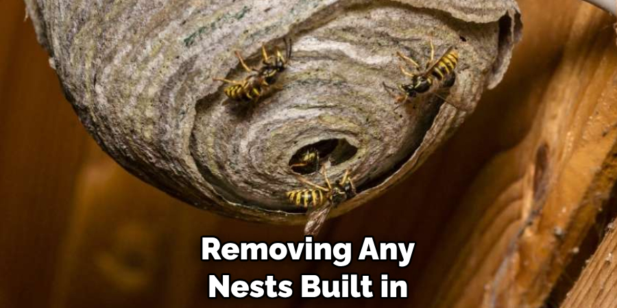 Removing Any Nests Built in