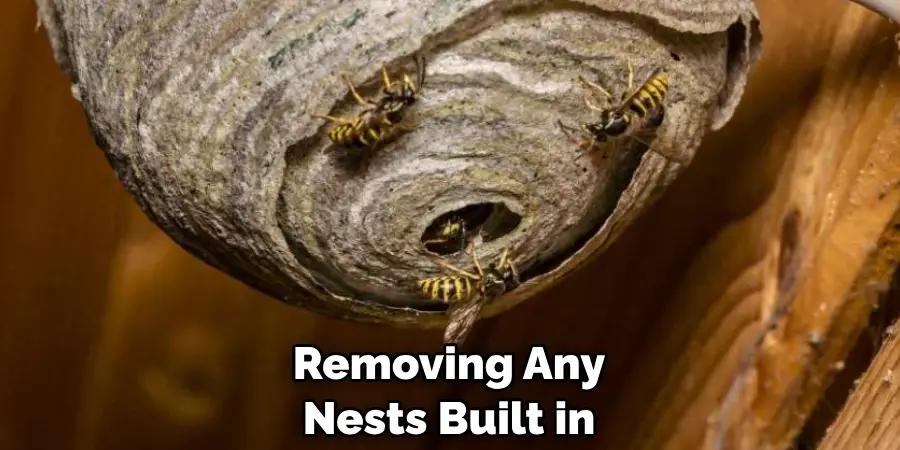 Removing Any Nests Built in