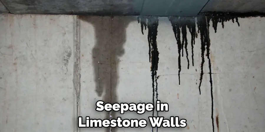 Seepage in Limestone Walls