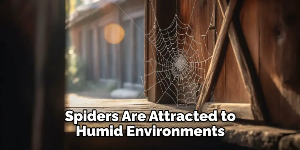 Spiders Are Attracted to Humid Environments