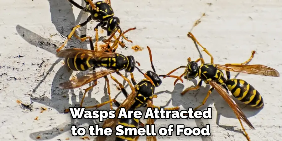 Wasps Are Attracted to the Smell of Food