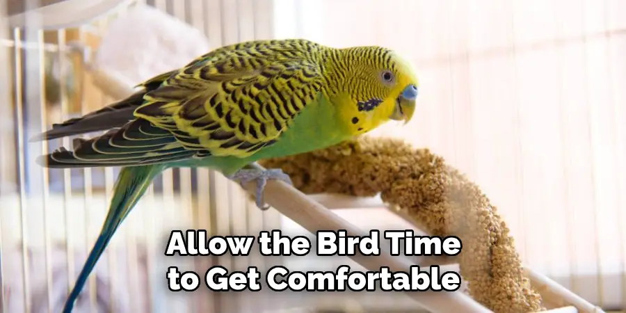 Allow the Bird Time to Get Comfortable