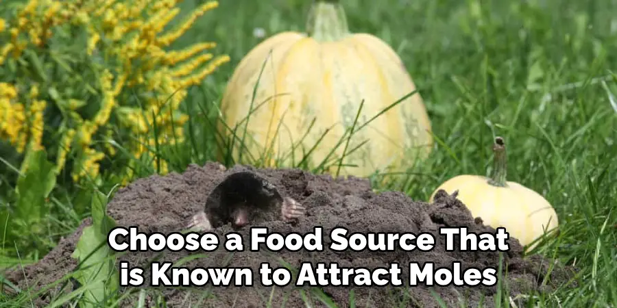 Choose a Food Source That is Known to Attract Moles