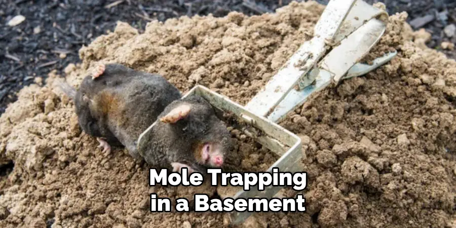 Mole Trapping in a Basement