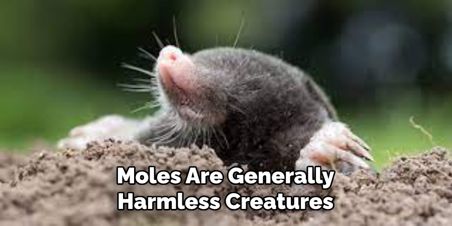 Moles Are Generally Harmless Creatures