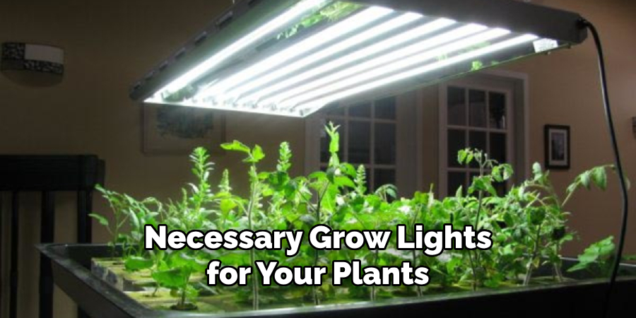 Necessary Grow Lights for Your Plants