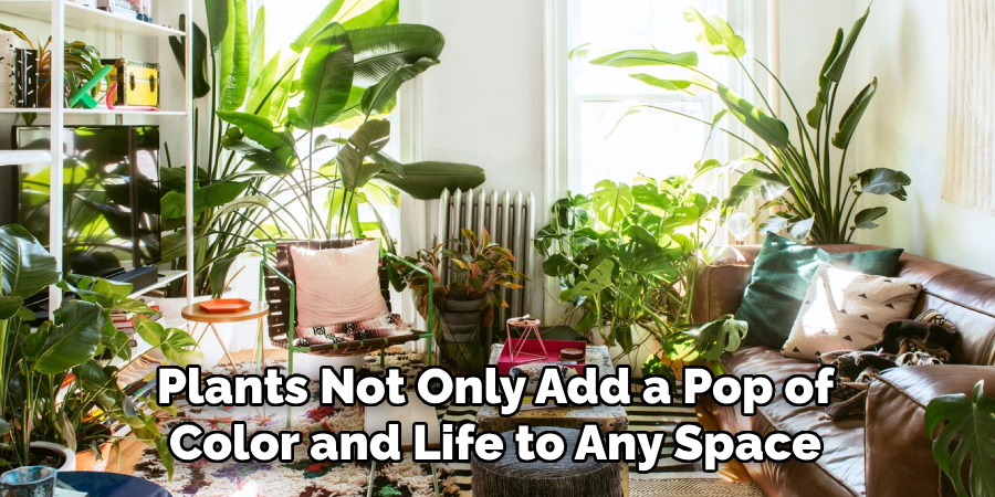 Plants Not Only Add a Pop of Color and Life to Any Space
