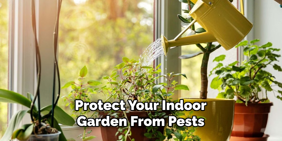 Protect Your Indoor Garden From Pests
