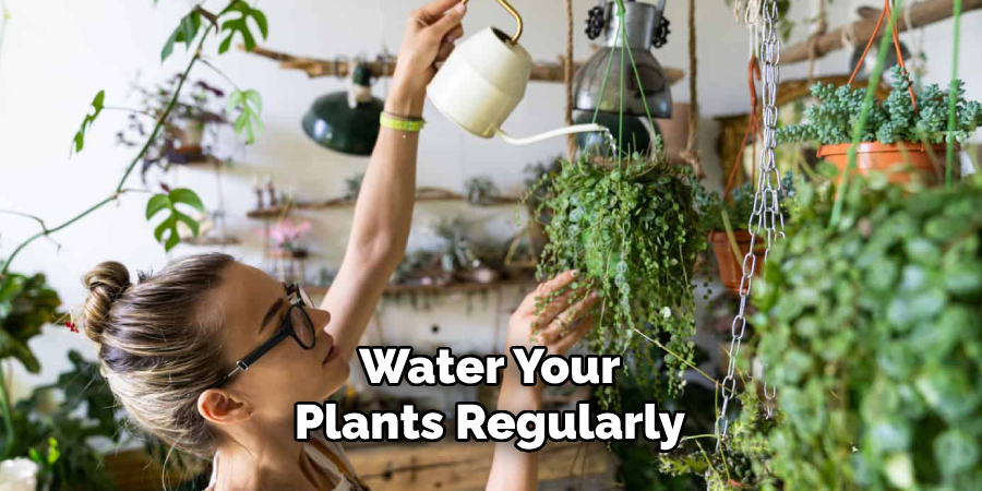 Water Your Plants Regularly